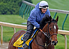 Lookin At Lucky on Rail; Sidney's Candy in 20