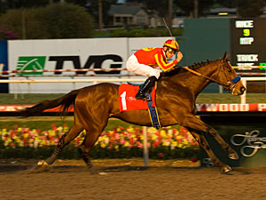 Lookin At Lucky Misses Training Due to Fever Lookin At Lucky Misses Training Due to Fever