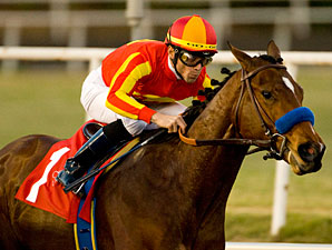 Inside Pedigrees: Smart Strike Inside Pedigrees: Smart Strike