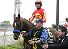 Featured Horse Profile: Lookin At Lucky