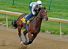 Monday Works: Lucky Drills 5f in 1:00 4/5