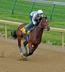 Monday Works: Lucky Drills 5f in 1:00 4/5 Monday Works: Lucky Drills 5f in 1:00 4/5