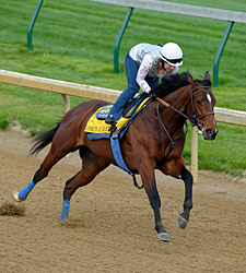 Baffert Derby Duo Sizzles at Churchill Downs Baffert Derby Duo Sizzles at Churchill Downs