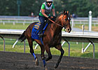 Lookin At Lucky Fires Bullet at Hollywood