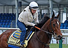 TC Talk: Preakness 135 Picks