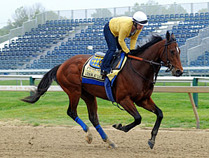 Co-Favorites in Early Preakness Wagering Co-Favorites in Early Preakness Wagering