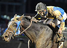 Longshot Looking Cool Takes Iowa Derby Longshot Looking Cool Takes Iowa Derby
