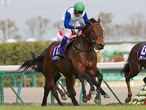 Champ Lord Kanaloa Sets Chukyo Course Record Champ Lord Kanaloa Sets Chukyo Course Record
