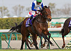 Champ Lord Kanaloa Sets Chukyo Course Record Champ Lord Kanaloa Sets Chukyo Course Record