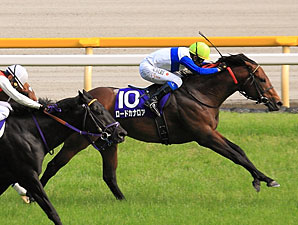 Lord Kanaloa Shines at Mile in Yasuda Kinen Lord Kanaloa Shines at Mile in Yasuda Kinen