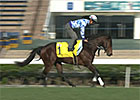 Lord Kanaloa and the 2013 Hong Kong Sprint Lord Kanaloa and the 2013 Hong Kong Sprint