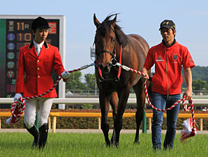 Lord Kanaloa is JRA Horse of the Year Lord Kanaloa is JRA Horse of the Year