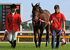 Lord Kanaloa is JRA Horse of the Year Lord Kanaloa is JRA Horse of the Year