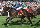 Lord Shanakill Adds to Sire's Tally Lord Shanakill Adds to Sire's Tally
