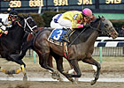 Paumonok Gives 'Snowdon Stakes Win Paumonok Gives 'Snowdon Stakes Win