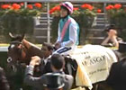 Royal Ascot - Lord Teddy Grimthorpe (Frankel)
