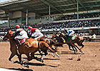 Los Alamitos Gets Passing Mark for First Meet Los Alamitos Gets Passing Mark for First Meet