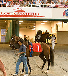 Los Alamitos Derby to Carry $1 Million Bonus Los Alamitos Derby to Carry $1 Million Bonus