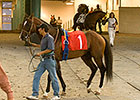 Fairplex Meet Gets Nod for Los Alamitos Move Fairplex Meet Gets Nod for Los Alamitos Move