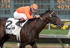 'Foggy' Wins 10th Straight for Home Crowd 'Foggy' Wins 10th Straight for Home Crowd