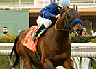 Loup Breton One to Beat in Redrawn San Marcos
