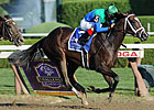 Love and Pride Stuns Royal Delta in 'Ensign