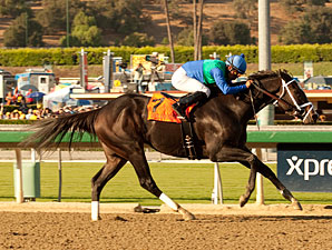 Love and Pride Won't Be Denied in Zenyatta Love and Pride Won't Be Denied in Zenyatta