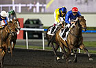 Lovely Pass Seeks Second U.A.E. Classic Win Lovely Pass Seeks Second U.A.E. Classic Win