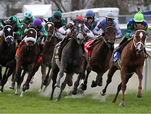 Bayou: Love to Tell Puts Rivals to Sleep Bayou: Love to Tell Puts Rivals to Sleep