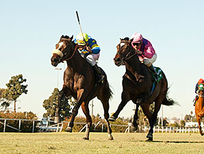 Late-Running Lucayan Takes Hollywood Turf Cup Late-Running Lucayan Takes Hollywood Turf Cup