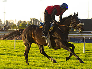 Lucayan Well-Spotted in Hollywood Turf Cup Lucayan Well-Spotted in Hollywood Turf Cup
