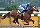 Lucky Island One to Beat in Forego Lucky Island One to Beat in Forego