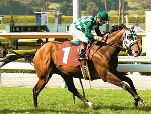 Grade III Winner Lucky J.H. Retired Grade III Winner Lucky J.H. Retired