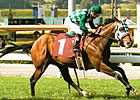 Grade III Winner Lucky J.H. Retired Grade III Winner Lucky J.H. Retired