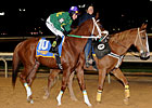 Lucy's Bob Boy Romps in WV Breeders' Classic Lucy's Bob Boy Romps in WV Breeders' Classic