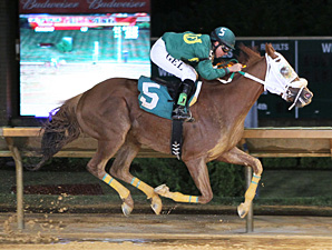 Lucy's Bob Boy Stands Out in Rich WV Classic Lucy's Bob Boy Stands Out in Rich WV Classic