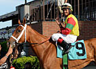 Jockey Luis Saez Bags Five Wins at Belmont Jockey Luis Saez Bags Five Wins at Belmont