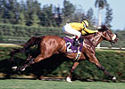 Hall of Fame: Lure Lives On Hall of Fame: Lure Lives On
