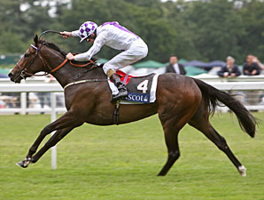 Lush Lashes Dominates Coronation Stakes Lush Lashes Dominates Coronation Stakes