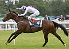 Lush Lashes Dominates Coronation Stakes Lush Lashes Dominates Coronation Stakes