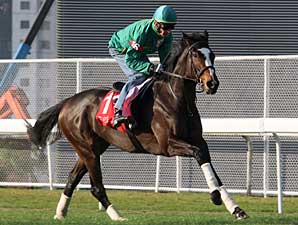 Lush Lashes Takes on Boys in HK Cup Lush Lashes Takes on Boys in HK Cup