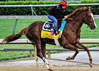 Dullahan in Maintenance Work at Churchill Dullahan in Maintenance Work at Churchill