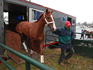 Horses Arriving at Monmouth for 2013 Meet Horses Arriving at Monmouth for 2013 Meet