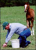 Evidence Presented at Keeneland Suggests All Horses May Be at Risk Evidence Presented at Keeneland Suggests All Horses May Be at Risk