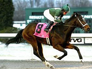Mac the Man, Allanah Take Turfway Stakes Mac the Man, Allanah Take Turfway Stakes