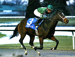 3-Year-Olds to Battle at Turfway Park 3-Year-Olds to Battle at Turfway Park