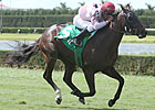 Full Field Entered for Bourbon Stakes Full Field Entered for Bourbon Stakes
