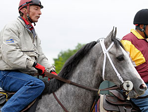 Macho Again Eyeing Sunshine Millions Macho Again Eyeing Sunshine Millions