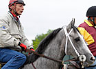Macho Again Eyeing Sunshine Millions Macho Again Eyeing Sunshine Millions