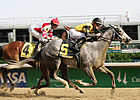 Finley: Macho Again to Try Belmont
